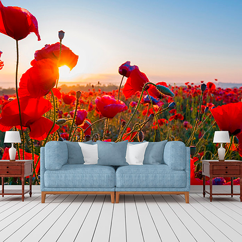 portfolio simulation